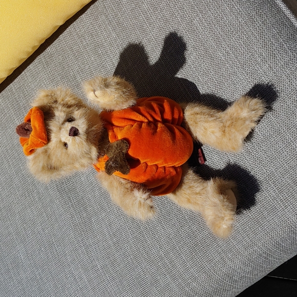 Other - Pumpkin bear